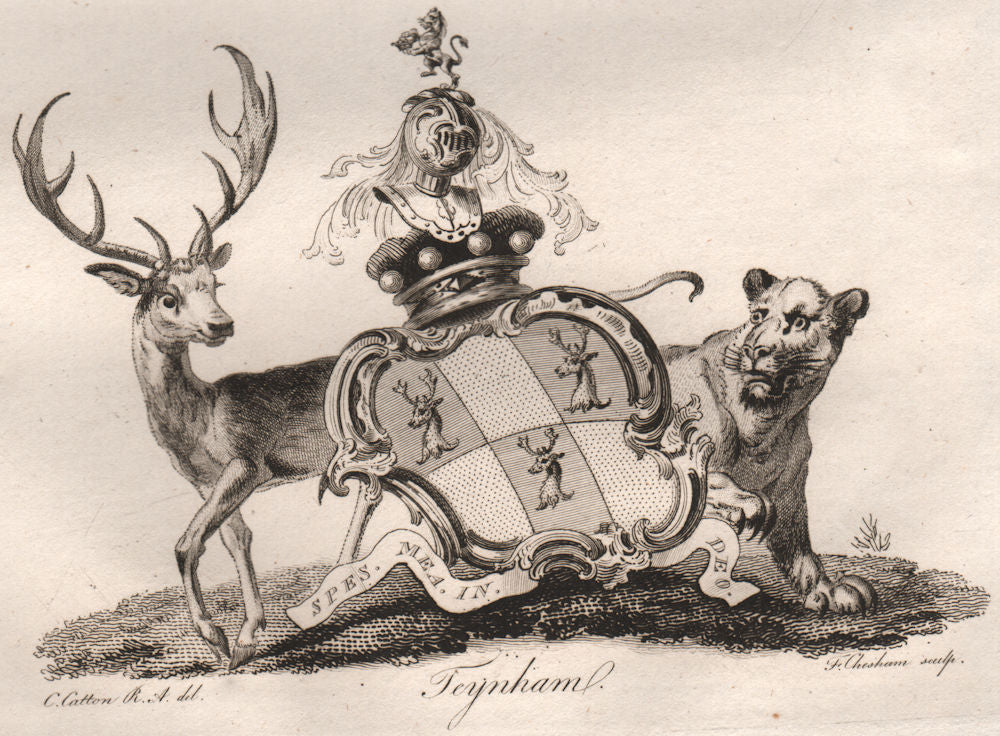 TEYNHAM. Coat of Arms. Heraldry 1790 old antique vintage print picture